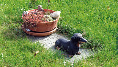 Tierurnen Tierfriedhof individuelle Gestaltung