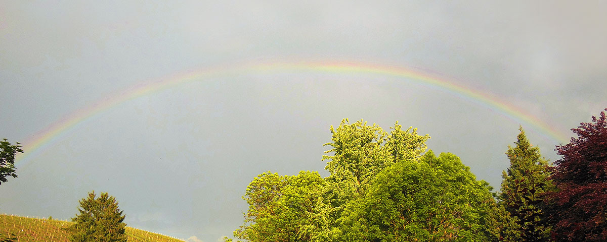 ASBIART Tierurnen - Die Regenbogenbrücke