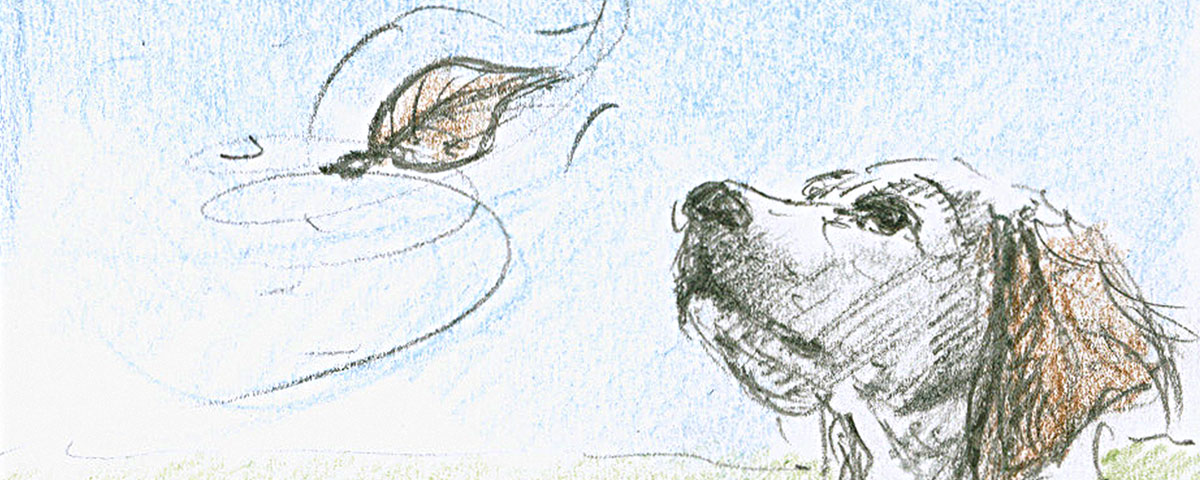Die Zeichen - ASBIART Tierurnen mit Bild
